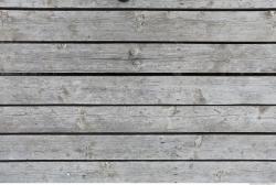 Photo Textures of Wood Planks